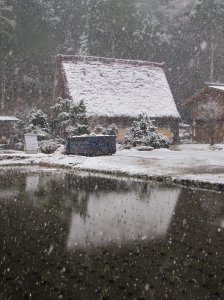 331232_10150772771678998_1728956440_o