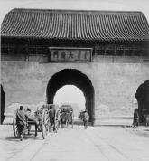 15050478474d765659803fe